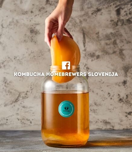 Vsi kupci Ayatana kombucha seta so vabljeni v zaprto facebook skupino Kombucha homebrewers Slovenija
